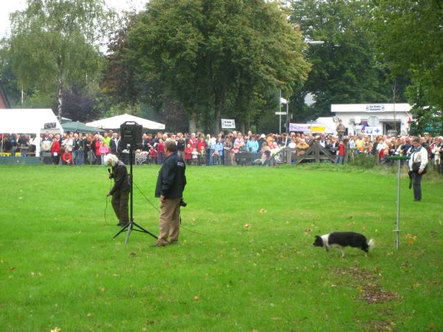 Het Rondje Vierhouten, Wilddag 2006